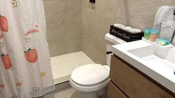 Shower, hair dryer, towels, soap