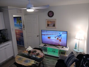 Älytelevisio, kirjoja