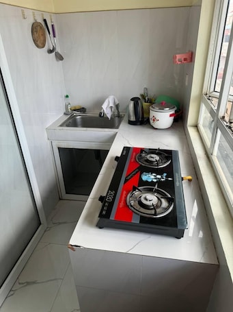 Basic Apartment, Balcony, City View | Private kitchen