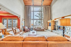 TV, fireplace, video games, offices