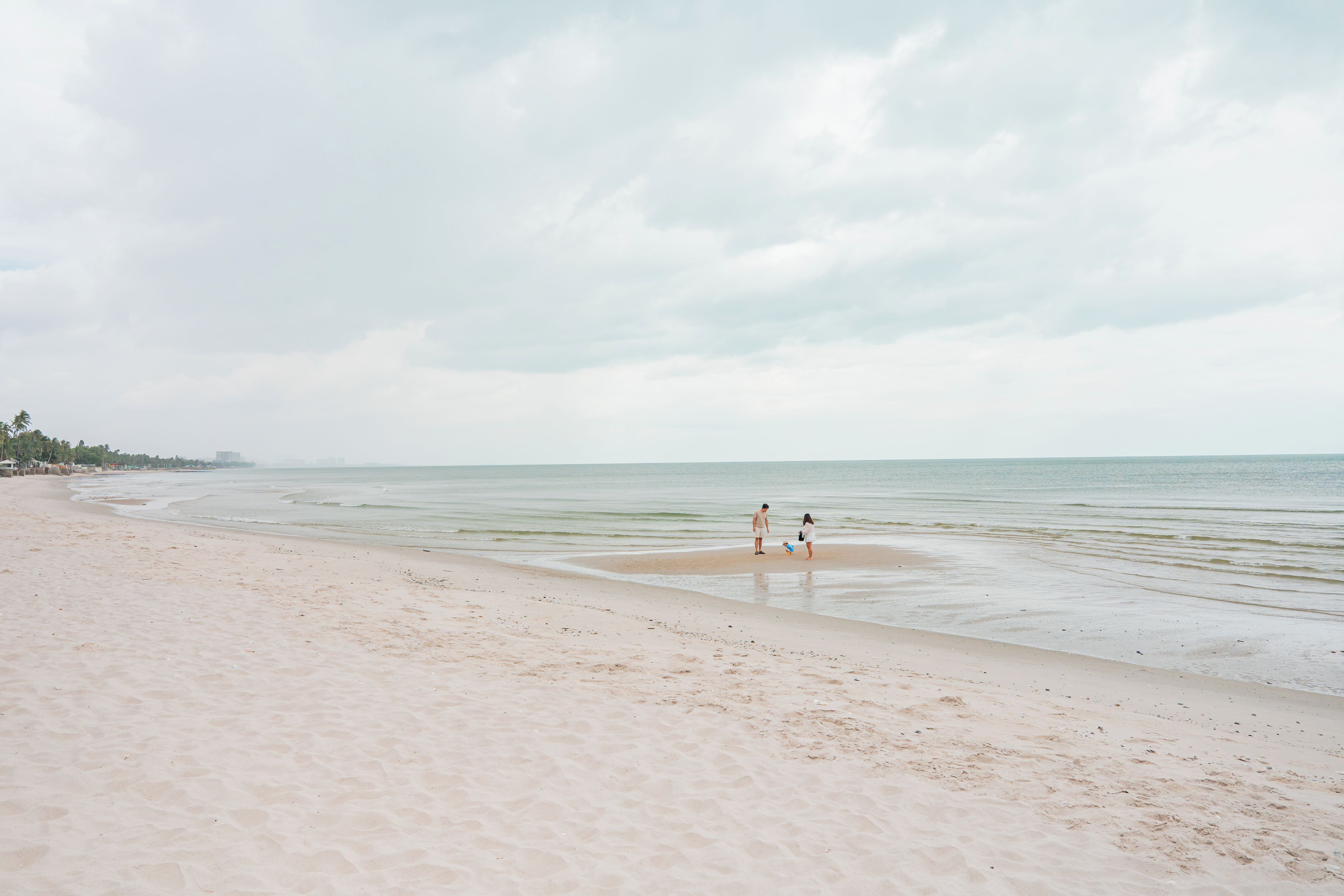 Une plage avec un rivage sablonneux et une mer calme.