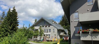 Resident Harrachov B by Interhome