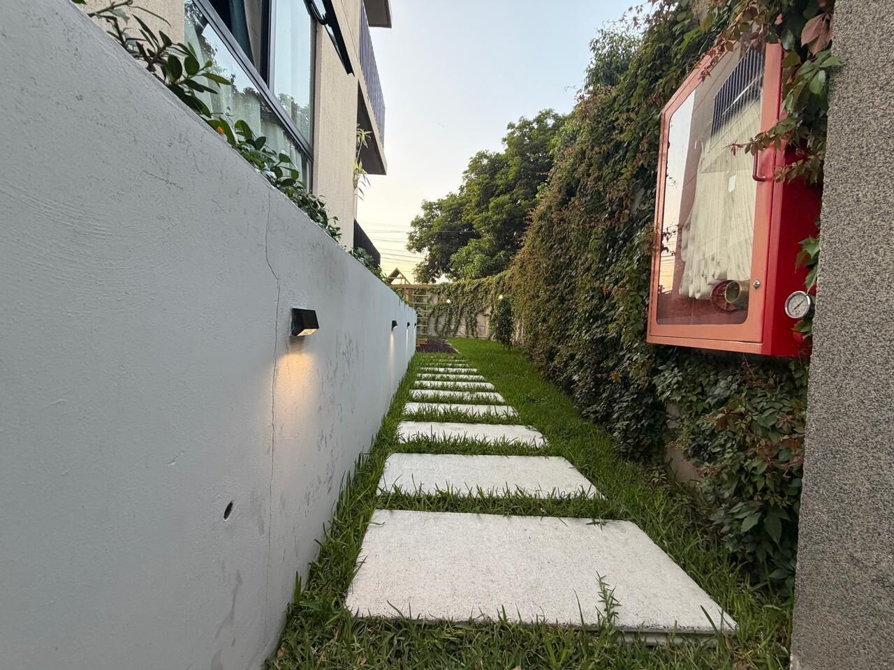 Un étroit sentier pavé de dalles de béton, bordé d’un mur blanc et d’une haie.