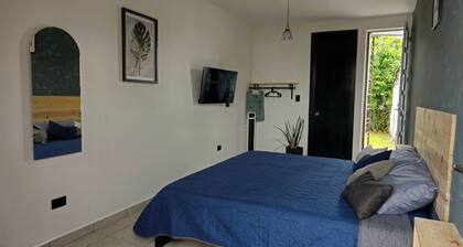 Room with garden. Cholula