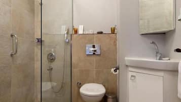 A modern bathroom with a glass-enclosed shower, a toilet, a sink, and a mirror.