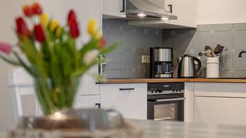 Kühlschrank, Ofen, Herdplatte, Geschirrspüler