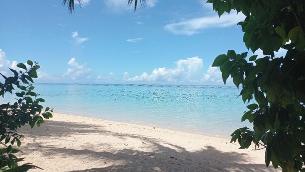 Ein Strand mit klarem türkisblauem Wasser, einem Sandufer und üppiger, grüner Vegetation im Vordergrund.