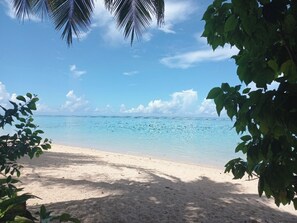 Una playa con aguas turquesas cristalinas, una orilla arenosa y exuberante follaje en primer plano.