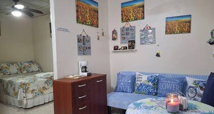 Swette Love 10 Minutes From the Airport Tocumen
