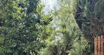 Comfortable mobile home at the foot of the Luberon