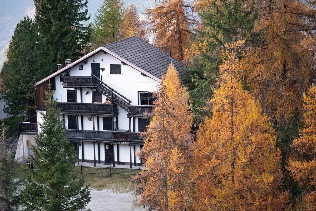 Image de profil de l’hôte