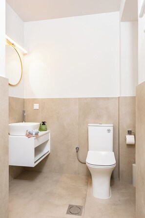 Ducha, secador de pelo, toallas, papel higiénico