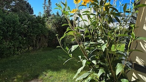 En have med solsikker og en sti af beton.