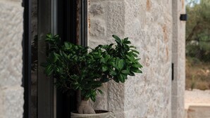 A stone building with a window, a potted plant, and a wall-mounted light fixture.