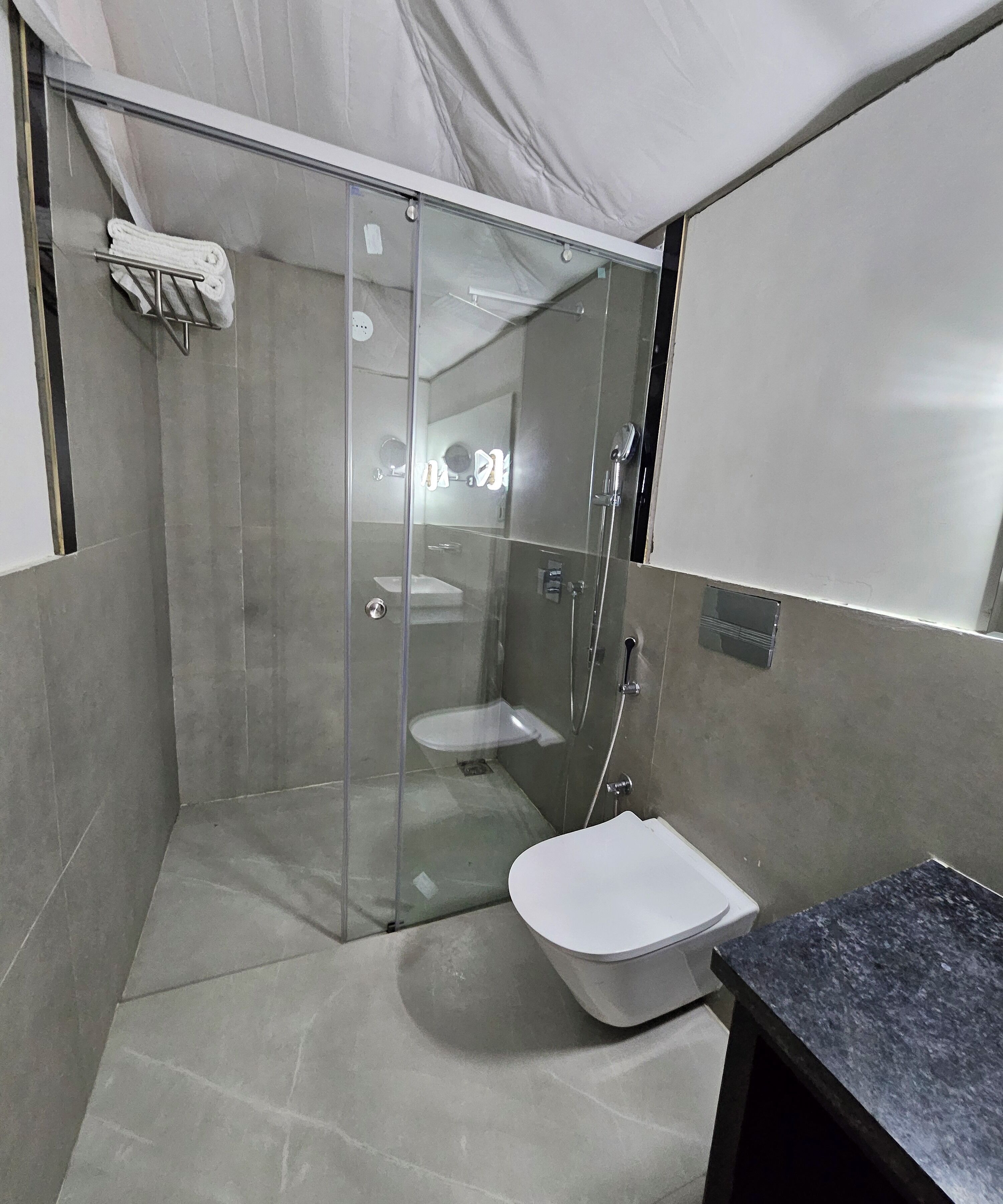 A modern bathroom with a glass-enclosed shower, a white toilet, and a marble countertop.
