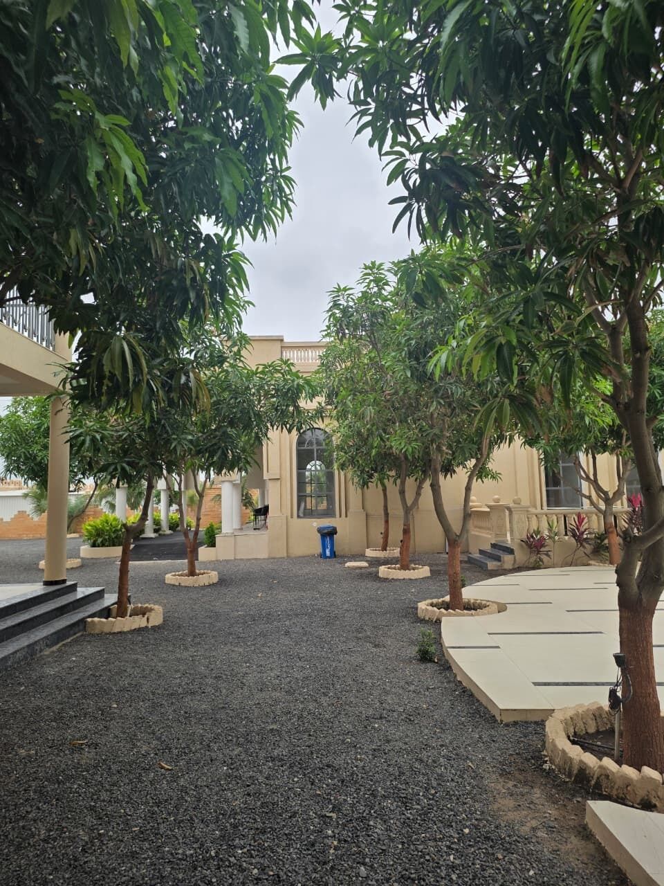 A courtyard with trees, a building with a balcony, and a blue trash bin.