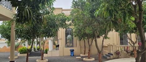 A courtyard with trees, a building with a balcony, and a blue trash bin.