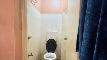 Shower, towels, soap, toilet paper