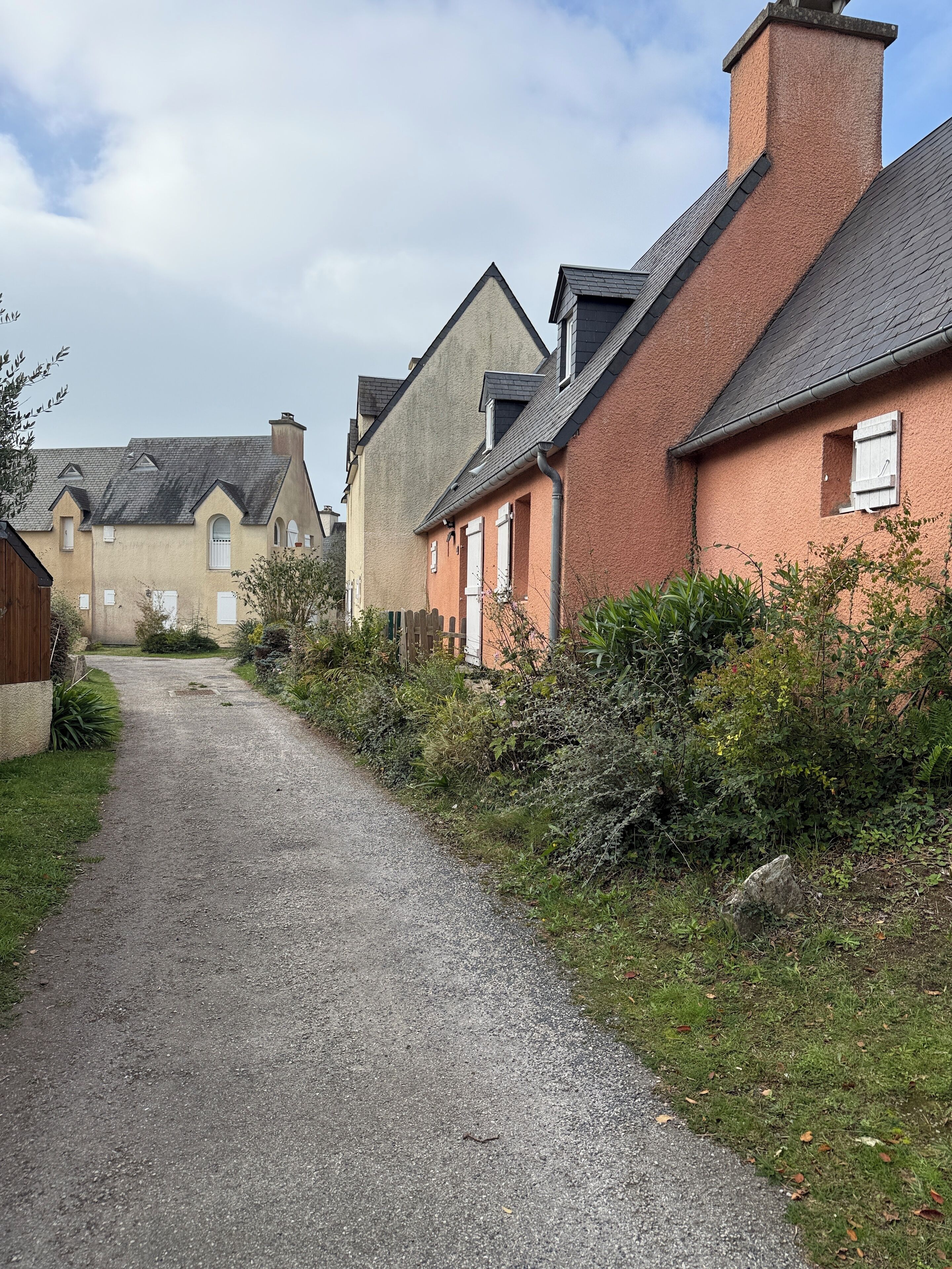 Un sentiero sterrato conduce a una fila di case con diversi stili architettonici, tra cui una casa in mattoni rossi con un camino e una casa beige con tetto a mansarda.