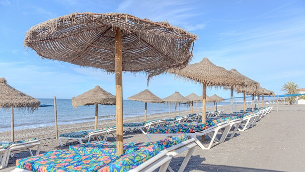 Una spiaggia con file di lettini e ombrelloni di paglia.