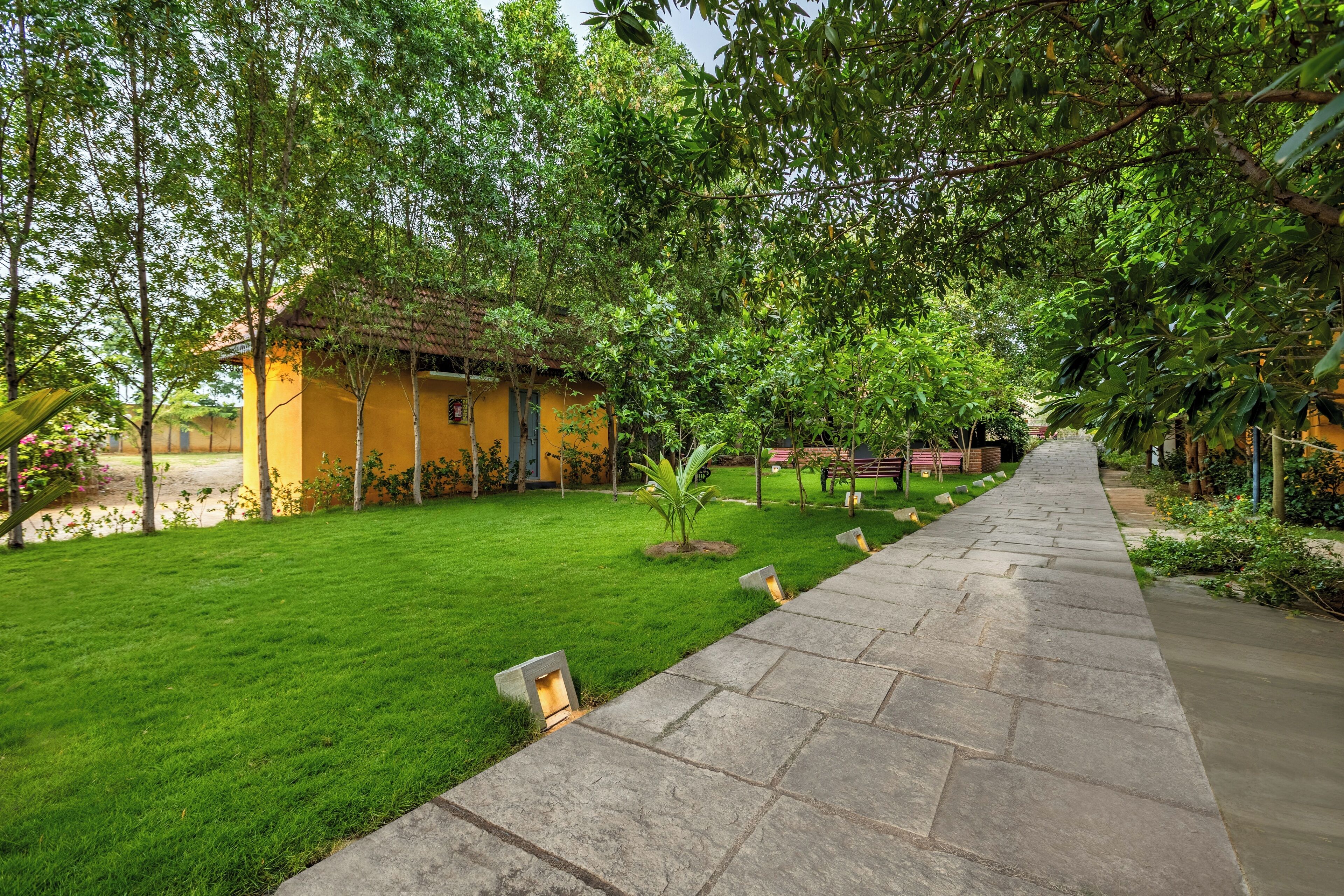 Garden