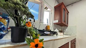 A kitchen with a potted plant, a sink, and a wooden cabinet.