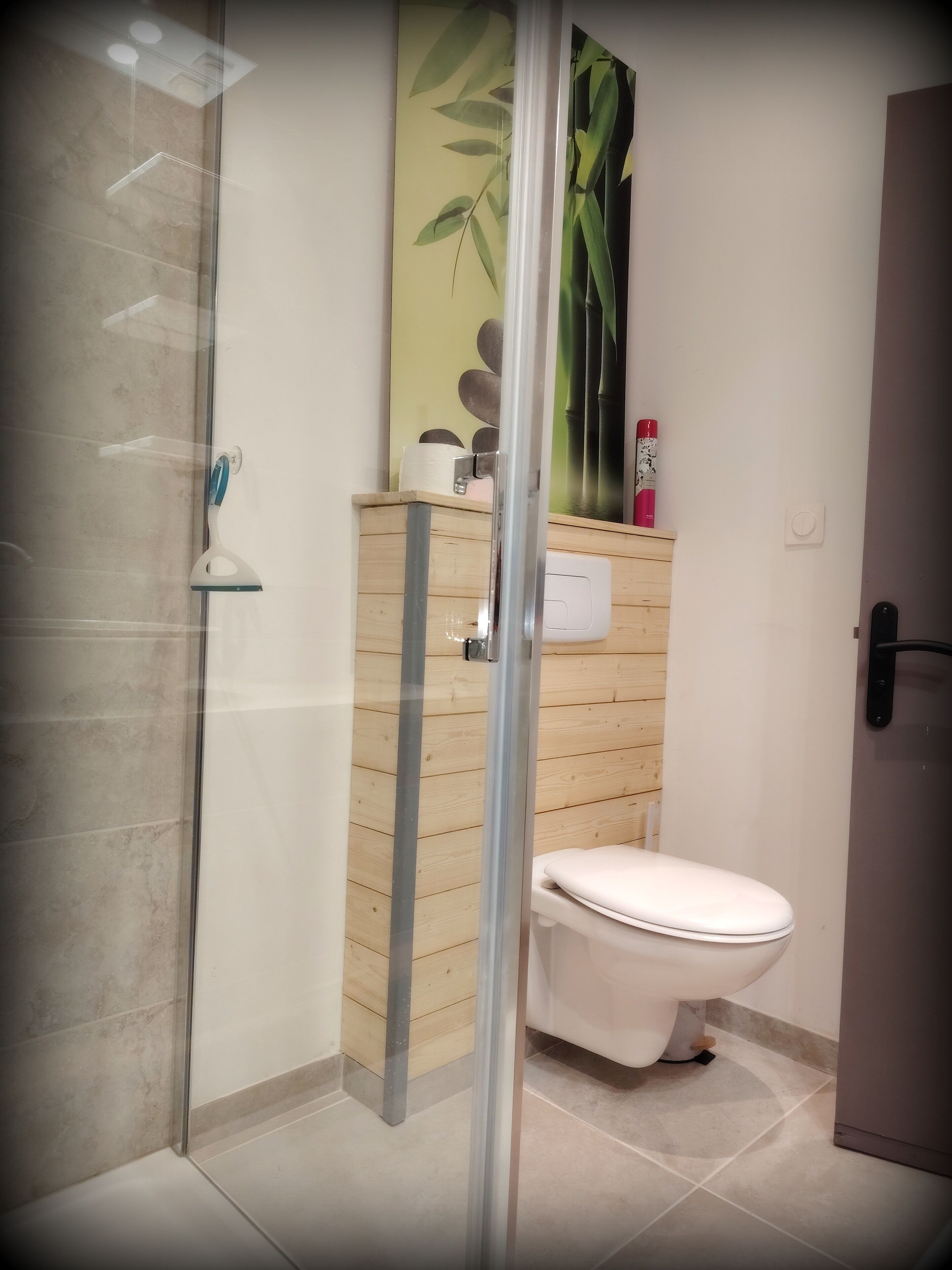 A modern bathroom with a glass shower enclosure, a toilet, and a wooden cabinet with toiletries.