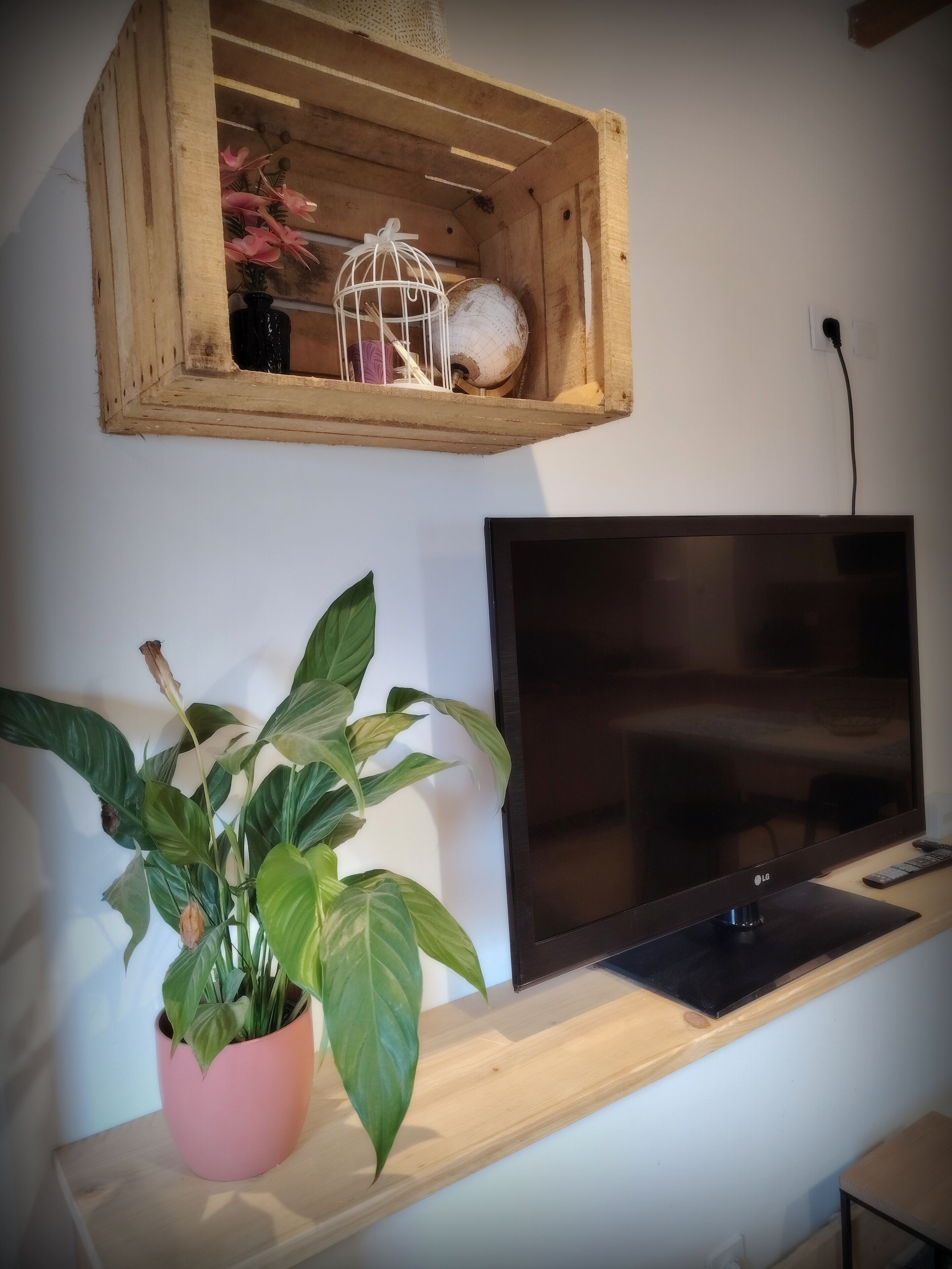 A wooden TV stand with a flat-screen TV, a potted plant, and a wooden crate with decorative items.