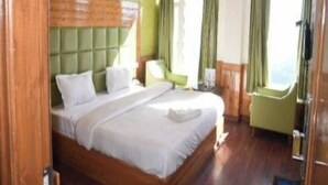 A hotel room with a large bed, green walls, wooden ceiling, and a view of the outdoors. - the town ville  (Shimla)