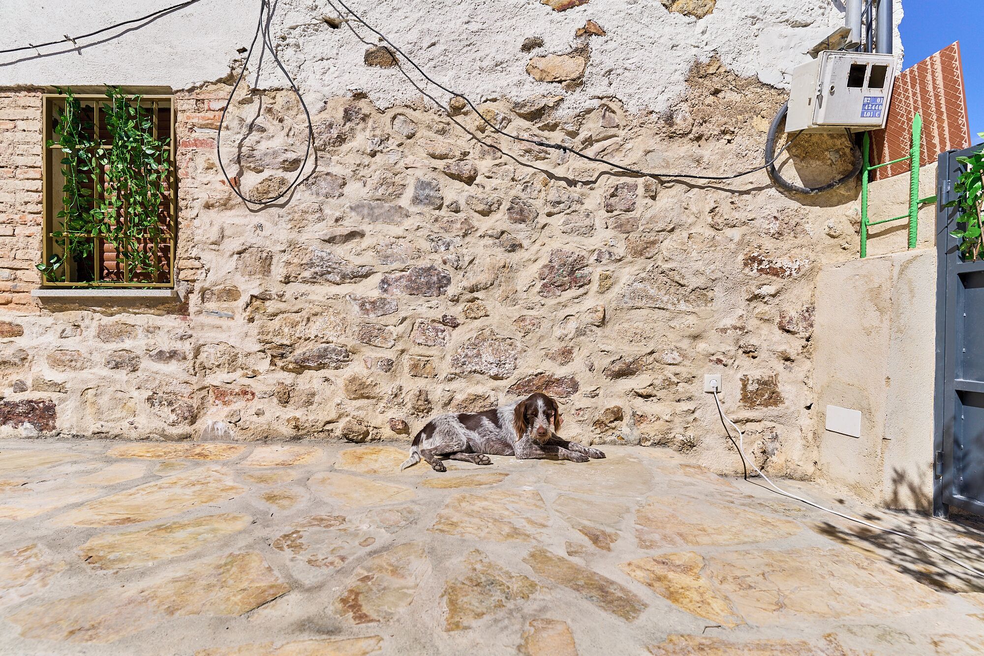 A stone building with a dog lying on the ground.