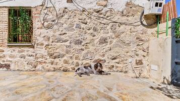 A stone building with a dog lying on the ground.