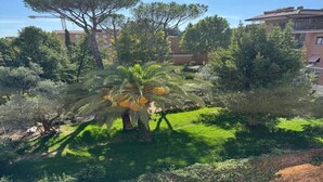 Un exuberante jardín con una palmera, rodeado de arbustos y árboles diversos, y edificios al fondo.