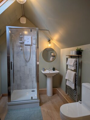 Shower, towels, soap, toilet paper