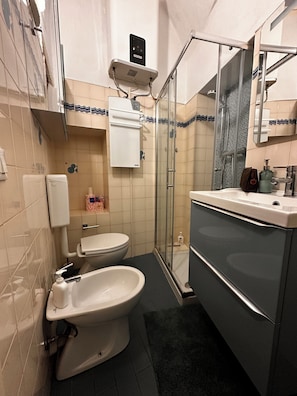 Shower, hair dryer, bidet, soap