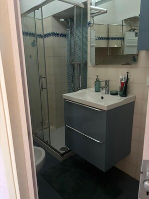 Shower, hair dryer, bidet, soap
