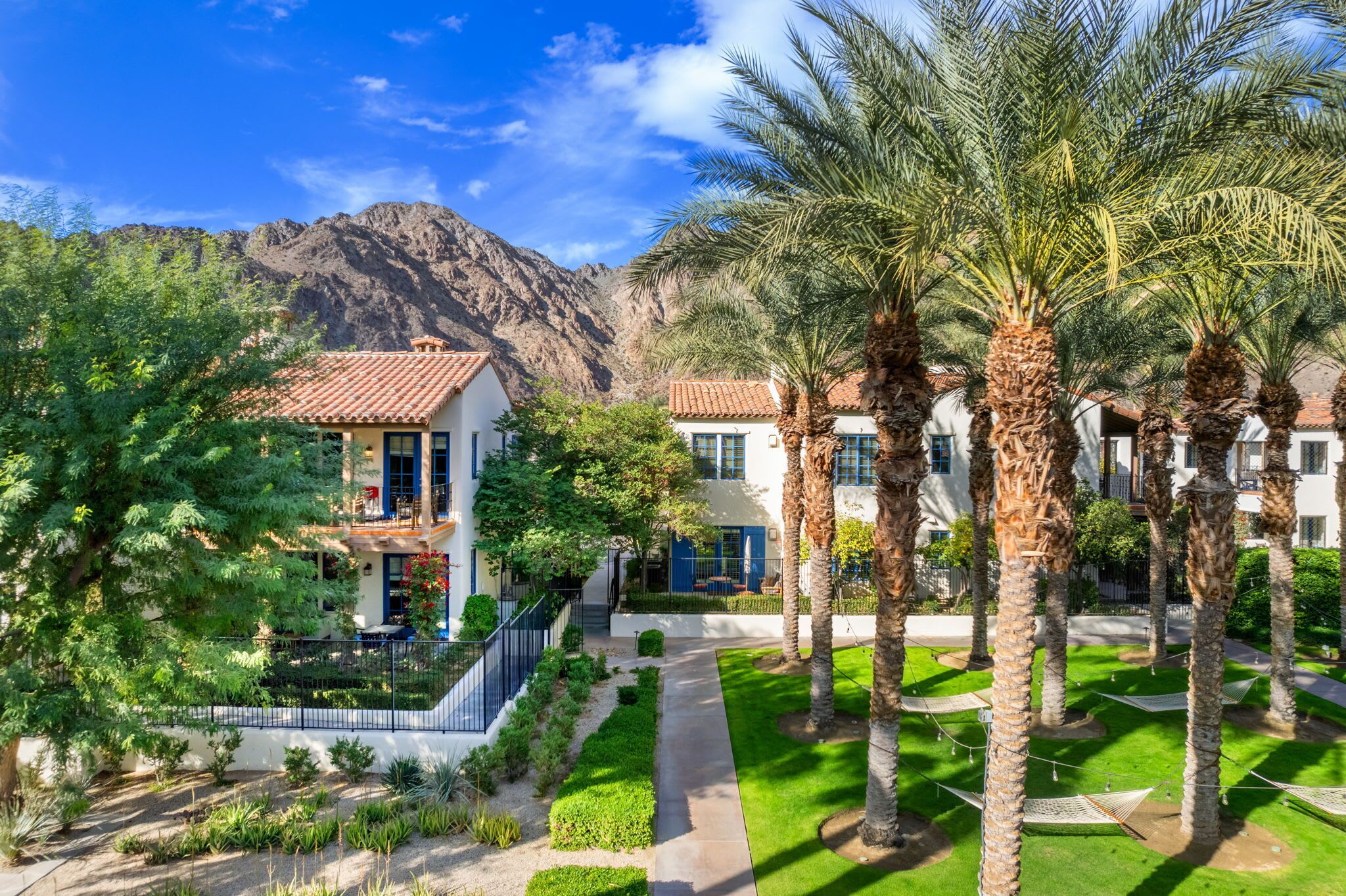 A residential area with houses, palm trees, and a mountain in the background.