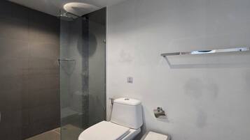 Shower, free toiletries, hair dryer, towels