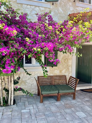 Terraza o patio
