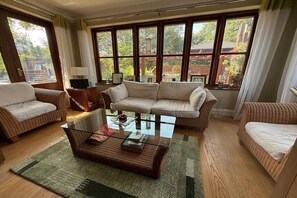 Televisión y chimenea 