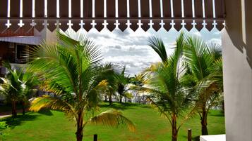 Premium Double Room, Balcony, River View | View from room