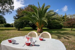 Mesa de comedor al aire libre con sillas, rodeada de follaje y una palmera.