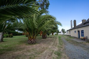 Un chemin menant à un bâtiment doté d’une porte bleue, entouré de palmiers et d’une pelouse.