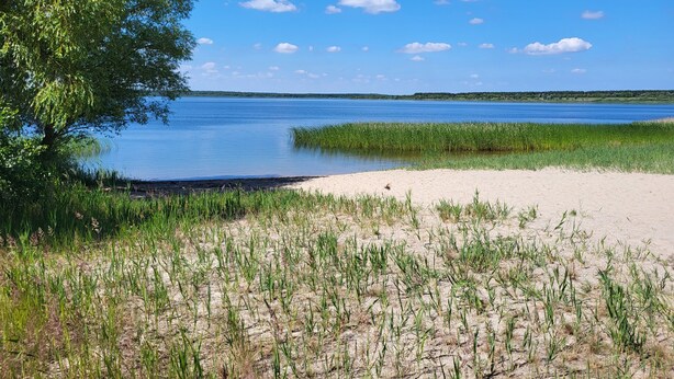 A beach with sand, grass, and a lake. - Apartment 'Schlossterrassen 8b' with Private Terrace, Shared Garden and Wi-Fi (Muldestausee)