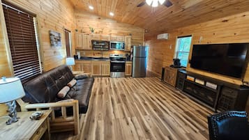 Smart TV, fireplace, books