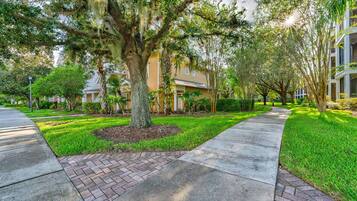 Área da propriedade