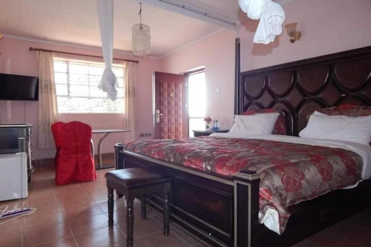 Habitación doble Deluxe, vista a la alberca | Wifi gratis y ropa de cama