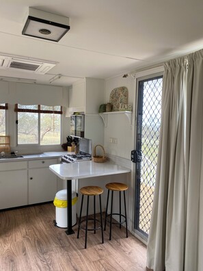 Microwave, oven, stovetop