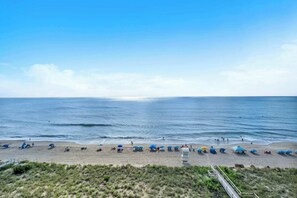 ビーチ、サンラウンジャー