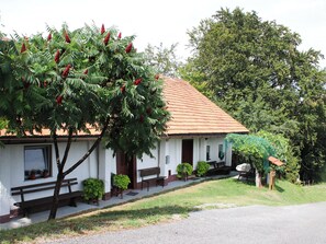 Front of property - Vineyard cottage Ranč pri Hanzeku (Videm)