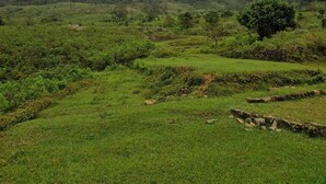 Un paisaje verde y exuberante con colinas ondulantes y un cielo nublado.